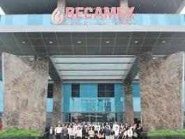 BECAMEX CORP